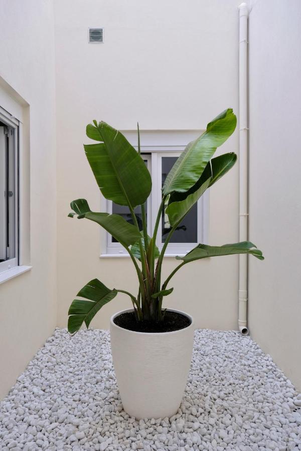 Urban Oasis La Palma Apartment Santa Cruz de la Palma  Ngoại thất bức ảnh